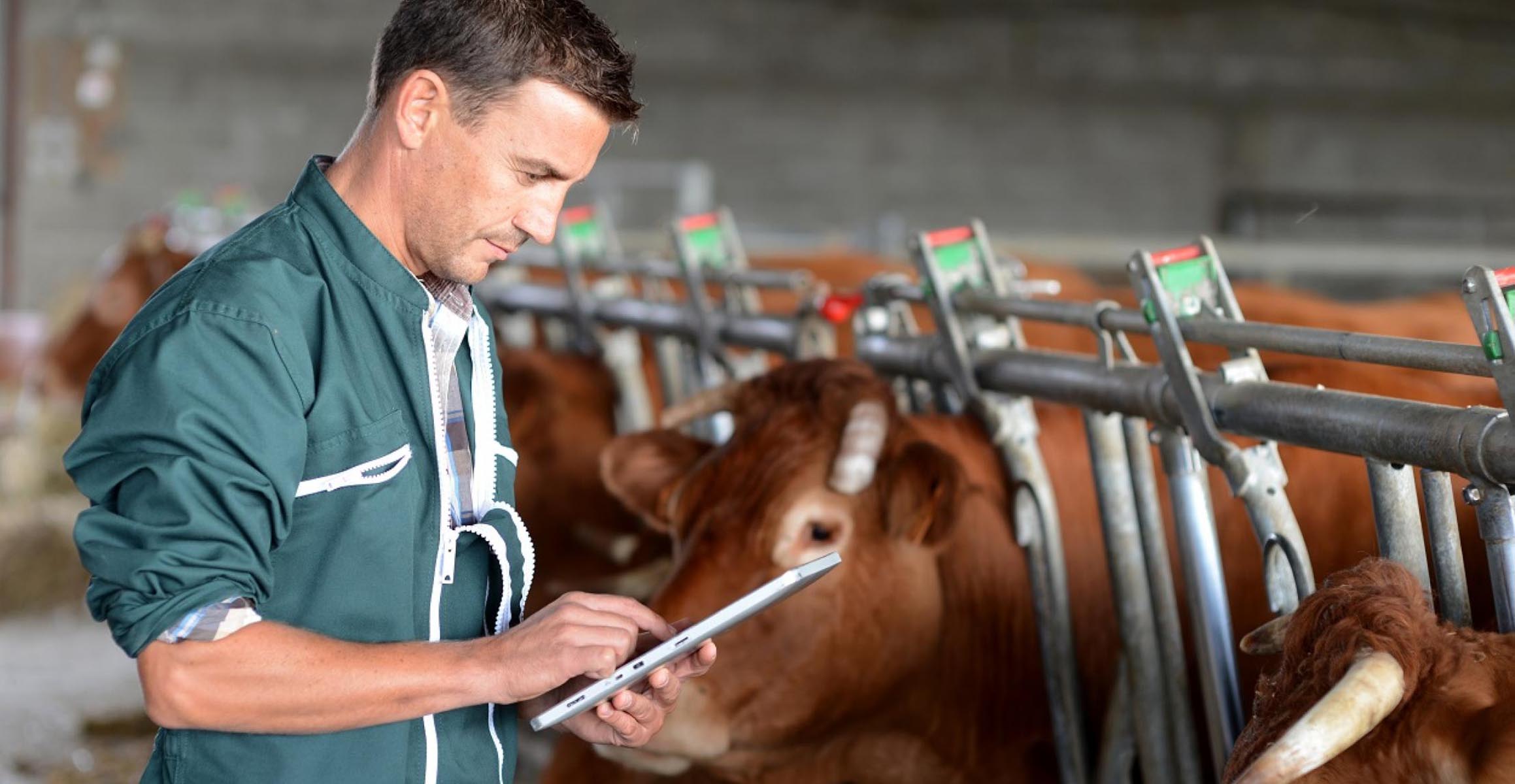 Dairysoft.ru